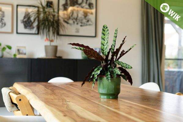 Leben I Lachen I Essen...