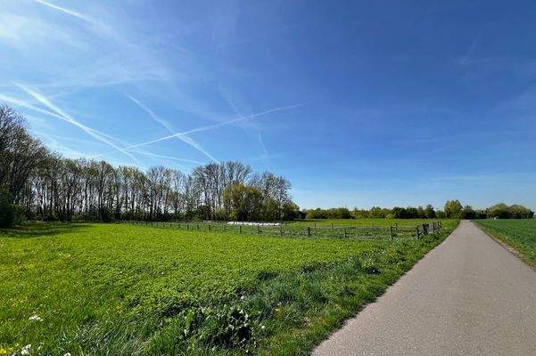 Großes Wiesengrundstück