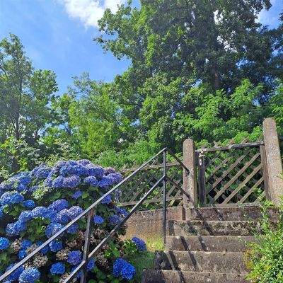 Gartenausgang zur Waldseite