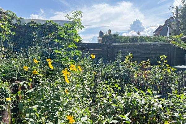 Schön angelegter Bauerngarten