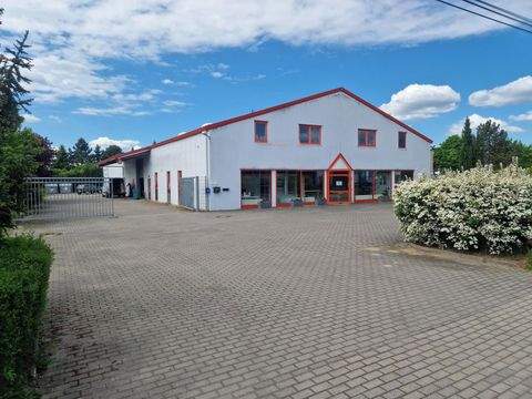 Trebbin Halle, Trebbin Hallenfläche