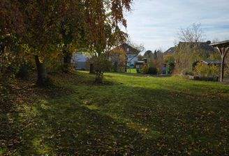 20251031_145853.jpg
