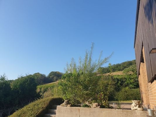 Aussicht