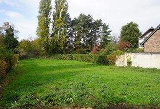 Blick in das Grundstück