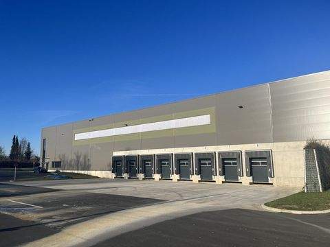 Schwerte Halle, Schwerte Hallenfläche