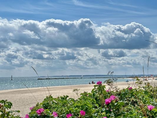 Ferienhaus an der Ostsee 