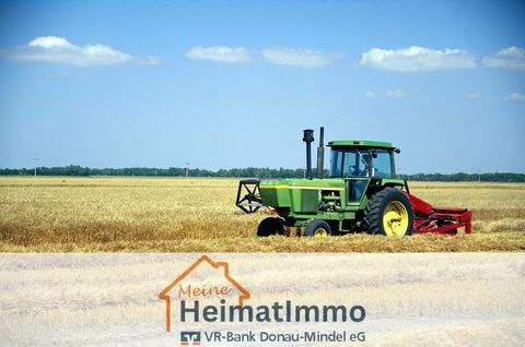 Wittislingen Bauernhöfe, Landwirtschaft, Wittislingen Forstwirtschaft