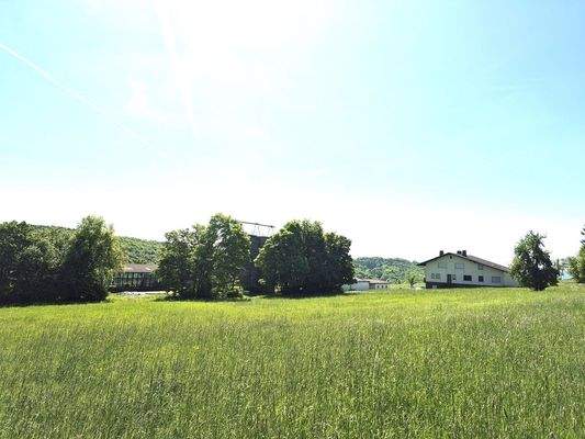 Hofstelle und arrondierte Flächen