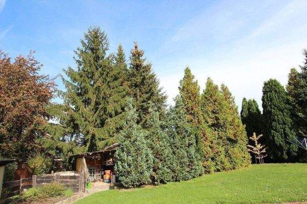 Parkanlage / Gartenanlage 