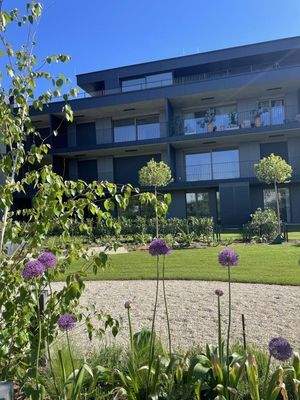 4NNEBU8XyZVCaxRtWoL5rl