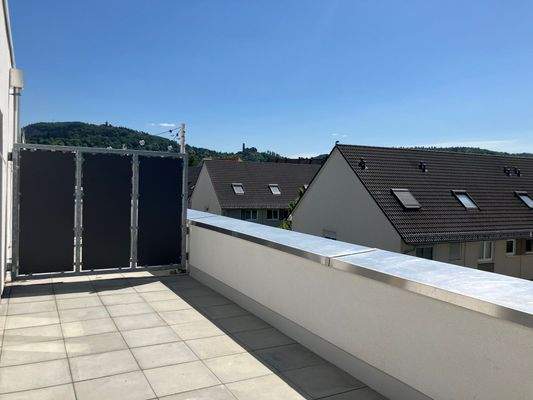 Whg. 1.1 Dachterrasse.jpg