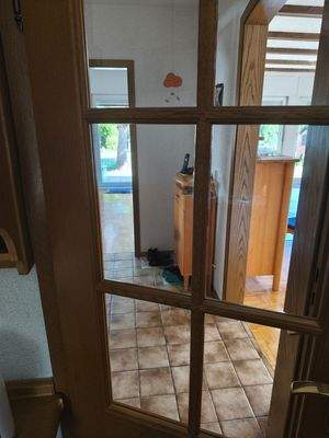 Zwischentür/ Küchentür EG