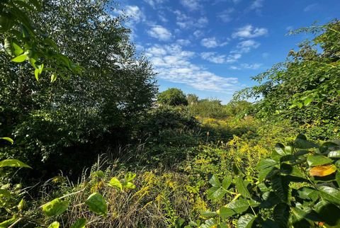 Halle (Saale)-Diemitz Grundstücke, Halle (Saale)-Diemitz Grundstück kaufen