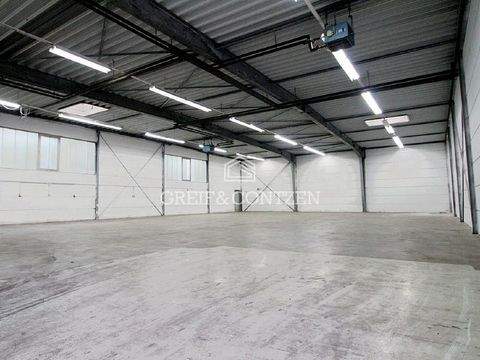 Köln Halle, Köln Hallenfläche