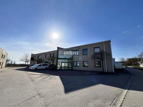 Chemnitz Halle, Chemnitz Hallenfläche