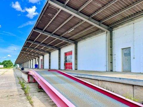 Dresden Halle, Dresden Hallenfläche