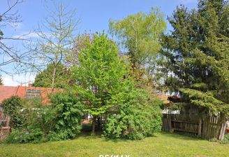 Garten mit verstecktem Baumhaus