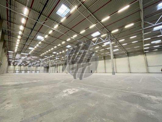 INFOS UNTER: 06171-586000