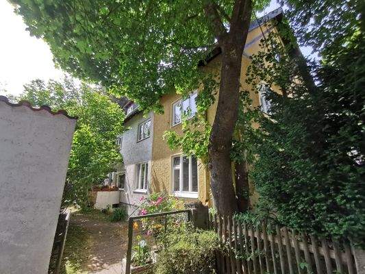 Seitenansicht mit Baumkulisse – natürlicher Lebensraum 