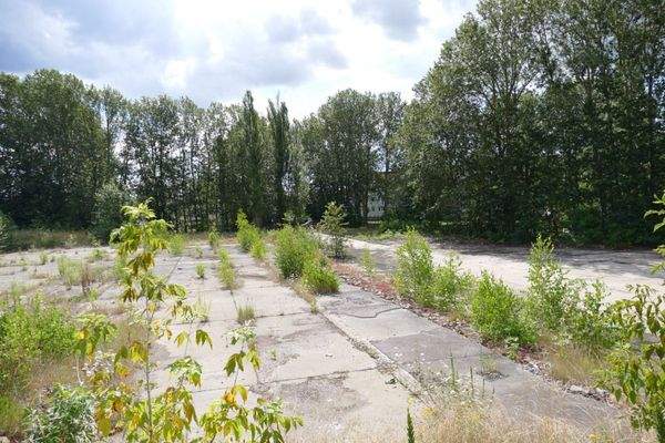 Grundstück         .jpeg