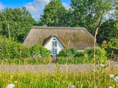 Tönning Häuser, Tönning Haus kaufen