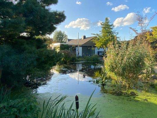 Seeblick zum Bungalow