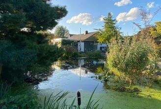 Seeblick zum Bungalow