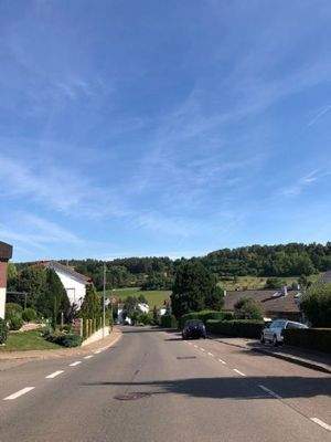 Calwer Straße (Tempo 30)