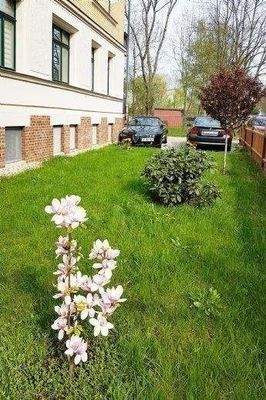 Delitzscher-Str.126-Vorgarten