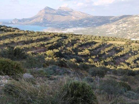 Kreta, Phalasarna: Grundstück zum Verkauf in Falassarna, Chania