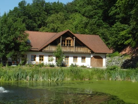 Luhe-Wildenau Gastronomie, Pacht, Gaststätten