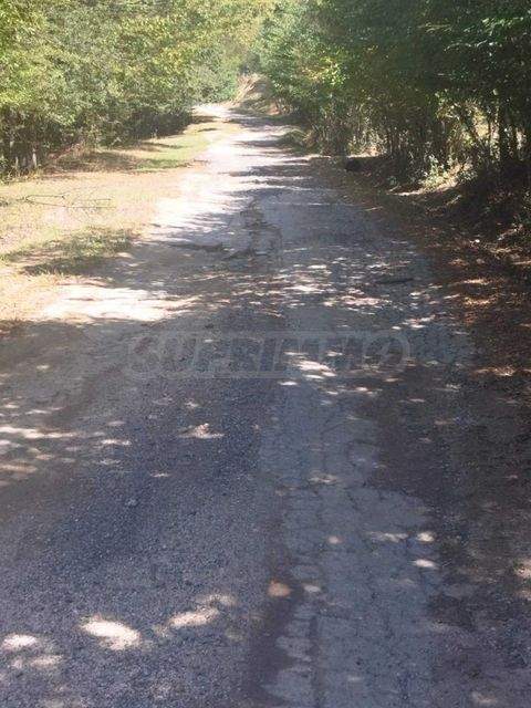 Kalofer Bauernhöfe, Landwirtschaft, Kalofer Forstwirtschaft