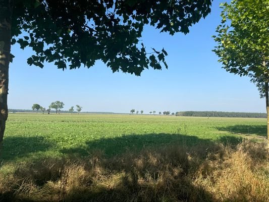 Blick von der Straße