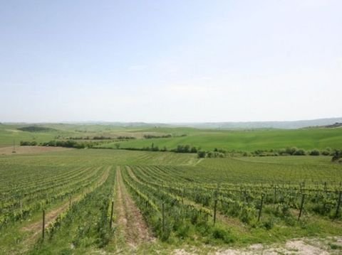 Montalcino Grundstücke, Montalcino Grundstück kaufen