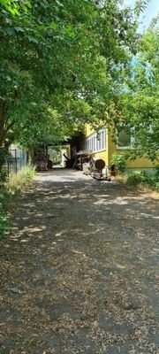 Außenanlage  hinten