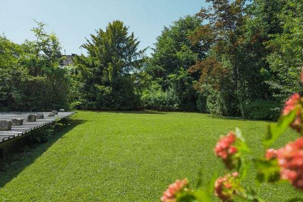 Wunderschön eingewachsen