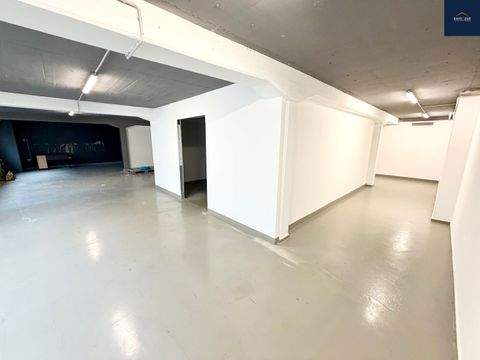 Ditzingen Halle, Ditzingen Hallenfläche