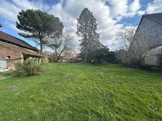 Blick Grundstück (Osten)