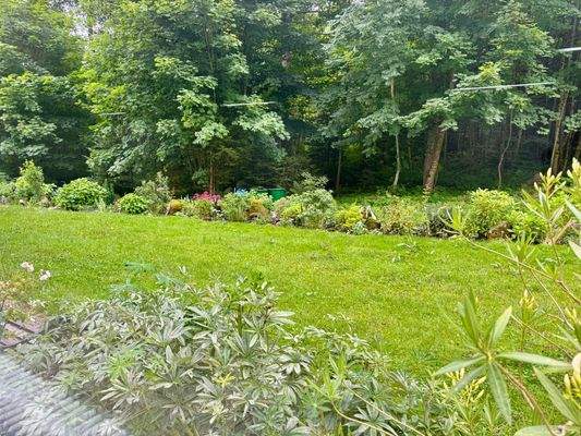 WhatsApp Bild 2025-07-31 um 19.33.46_a163d02d