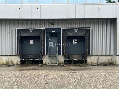 Köln Halle, Köln Hallenfläche