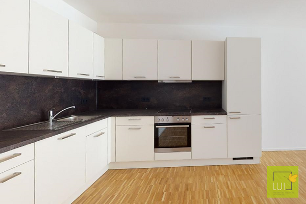 Wohnbereich mit offener Küche Muster