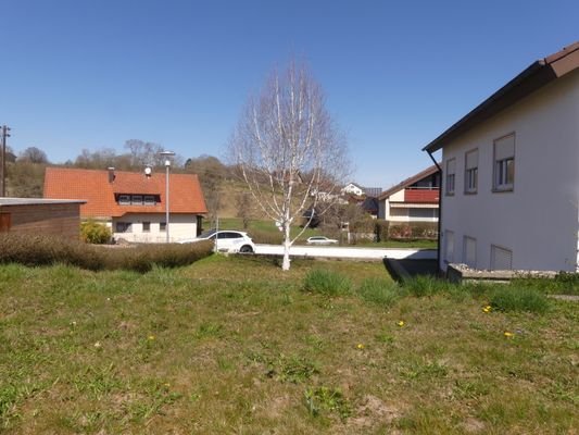 großer Garten ums Haus