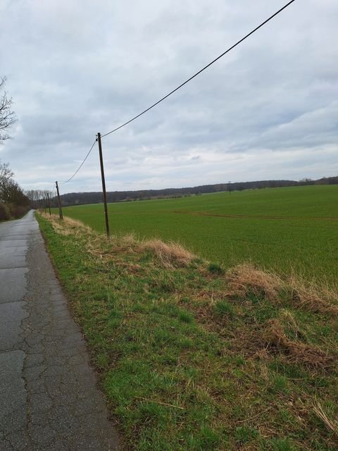 Handorf Bauernhöfe, Landwirtschaft, Handorf Forstwirtschaft