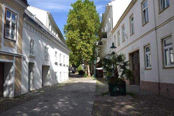 20250722_DSC_0042 (1