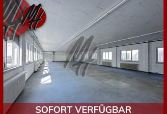 INFOS UNTER: 06171-586000