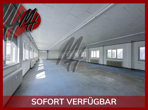 Sulzbach am Main Halle, Sulzbach am Main Hallenfläche