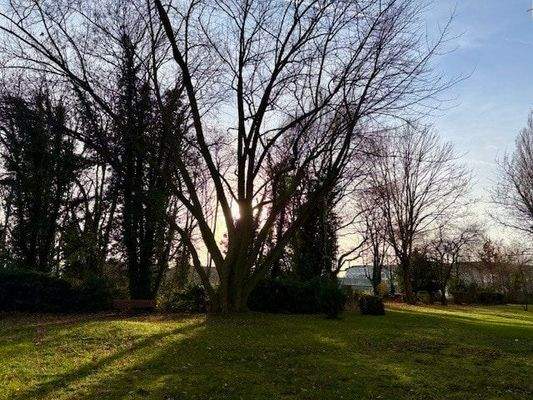 Rückseitiges Grundstück