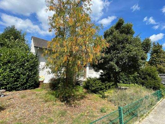 WhatsApp Image 2025-08-27 at 12.36.33.jpeg