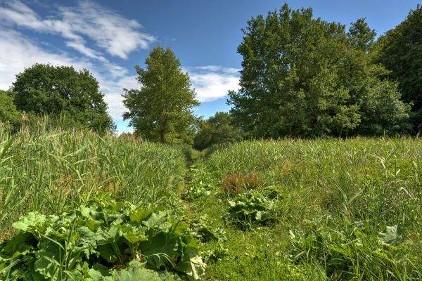 Landschaftsschutzgebiet