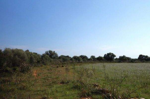 7178_02_Santanyi_Grundstueck